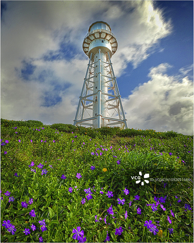 塔斯马尼亚金岛巴斯海峡库里灯塔春末野花盛开图片素材