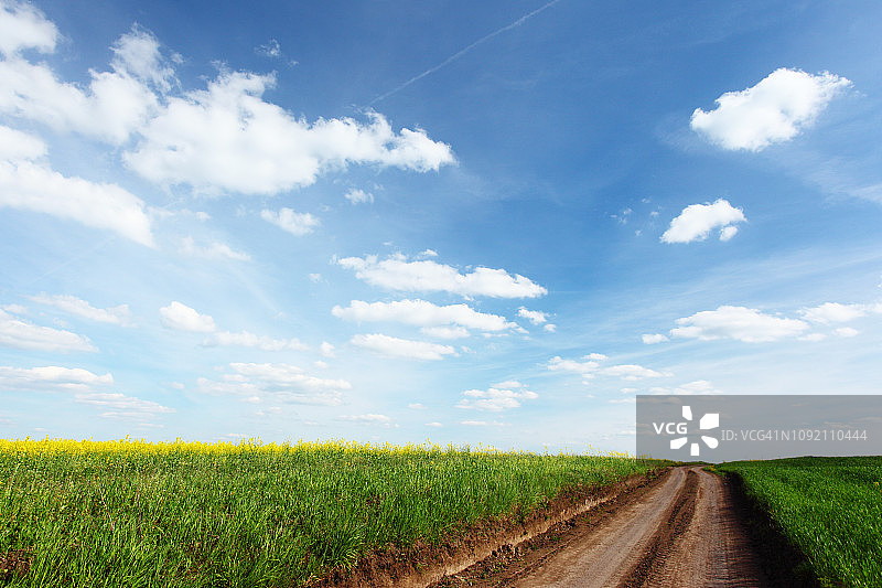 绿草如茵的春日田野与美丽天空图片素材