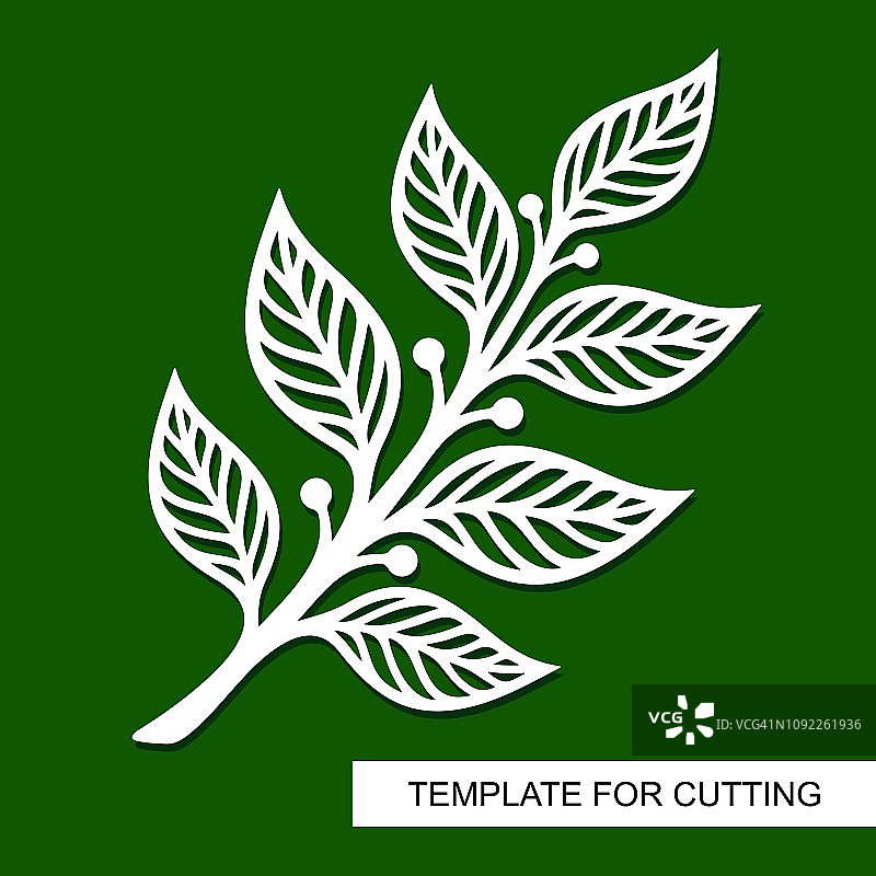 树枝与树叶的剪影图片素材