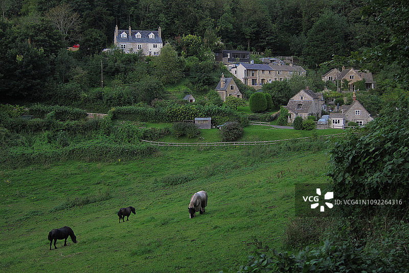 丘陵森林中的村庄和马匹图片素材