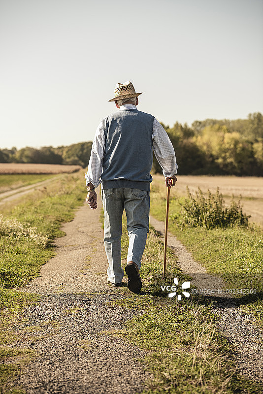 拄着拐杖在田野里行走的年长男人（后视图）图片素材