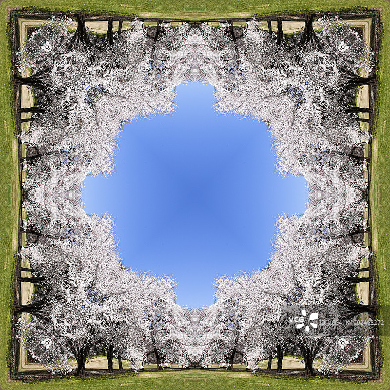 几何风格樱桃树拼贴图片素材