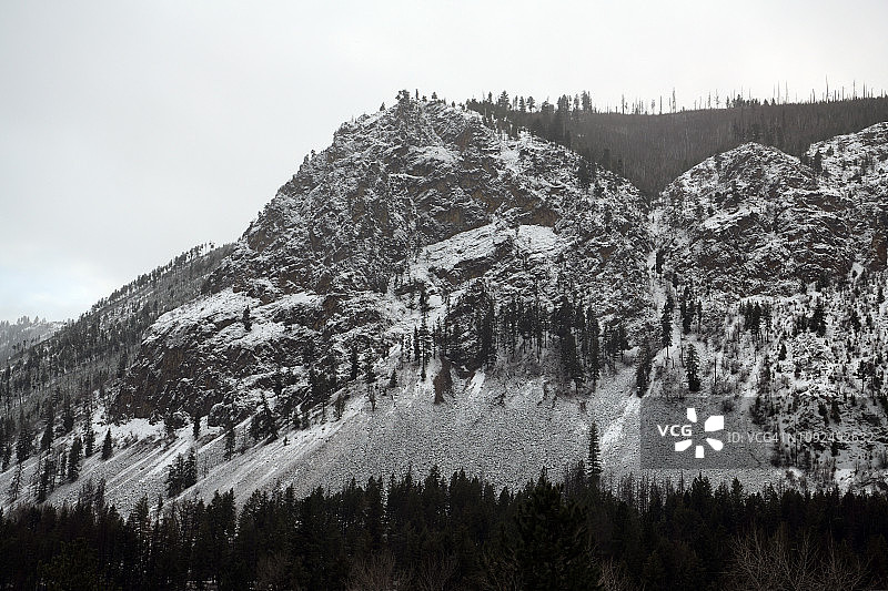 美国爱达荷州穆兰附近瞭望通道的松树上的雪景图片素材