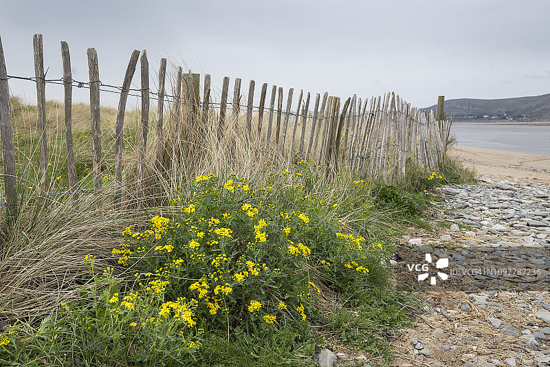 北威尔士海岸的康威莫法图片素材
