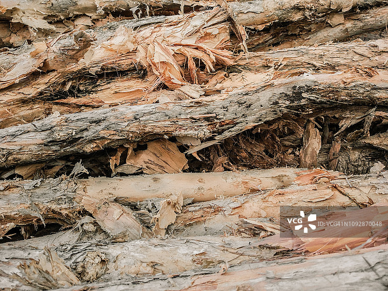 木屑堆特写图片素材