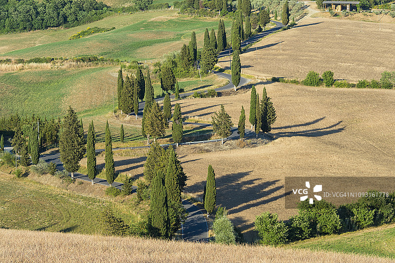 夏季托斯卡纳瓦尔德奥西亚锡耶纳省蒙蒂基耶洛的蜿蜒道路，两旁是柏树图片素材