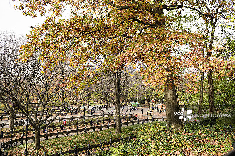 纽约中央公园秋色中的林荫道图片素材