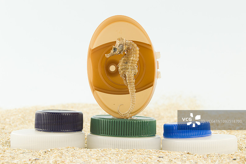 海滩污染中的海马图片素材