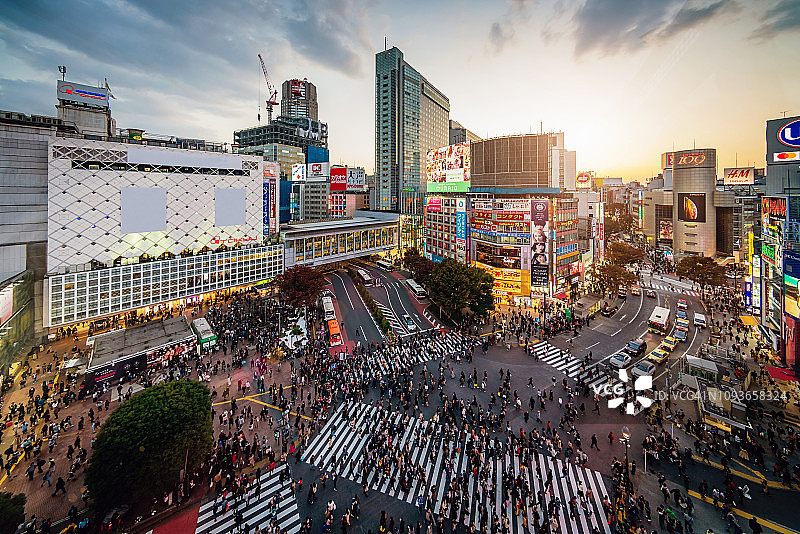 日本东京涩谷十字路口航拍图片素材