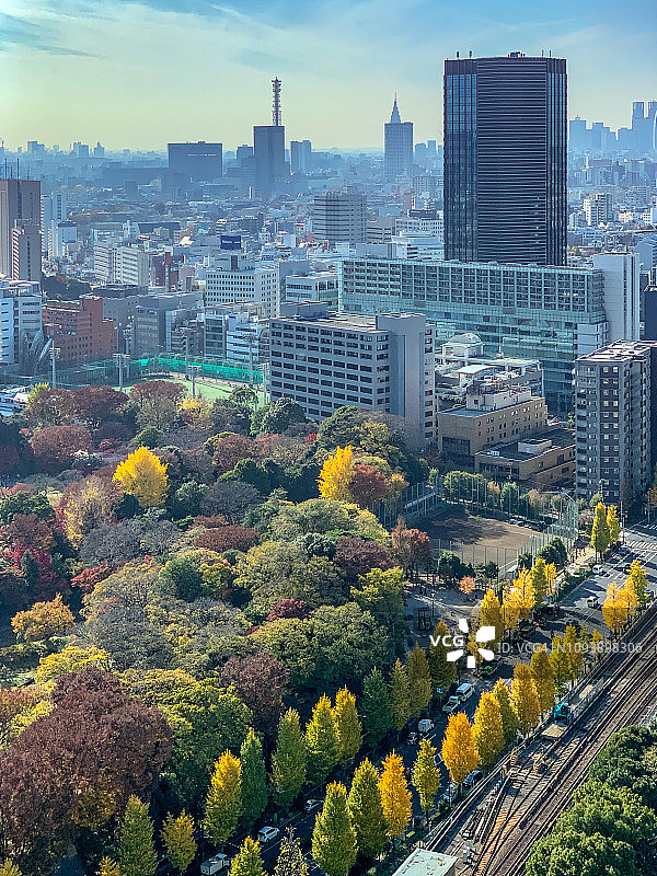 东京城市视图图片素材