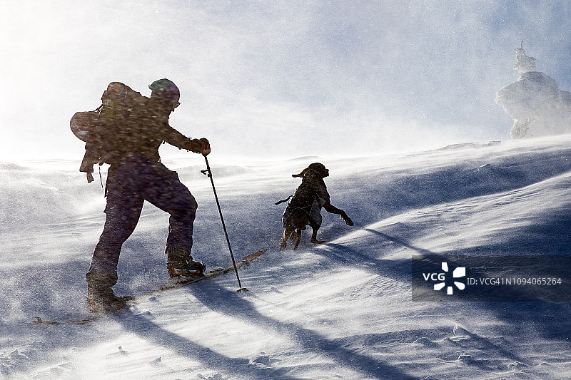 冬季山区带着狗徒步的滑雪者图片素材