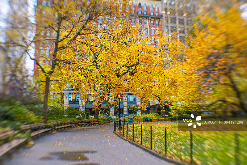2018年11月17日美国纽约麦迪逊广场公园草坪秋色树木模糊影像图片素材