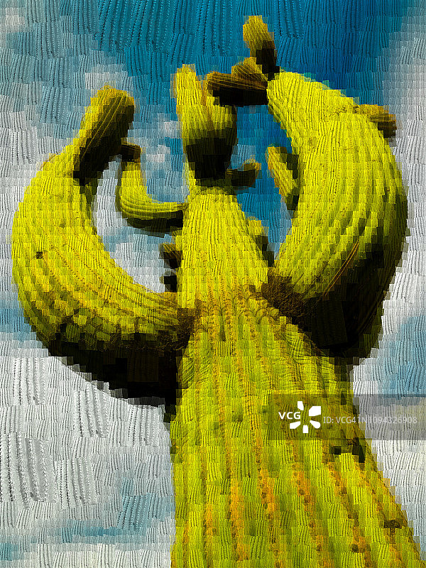 巨人柱仙人掌马赛克图片素材