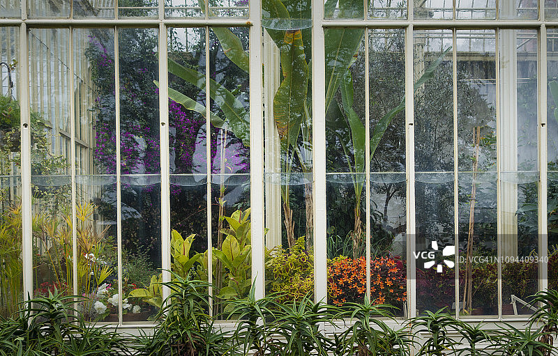 爱尔兰国家植物园棕榈屋图片素材