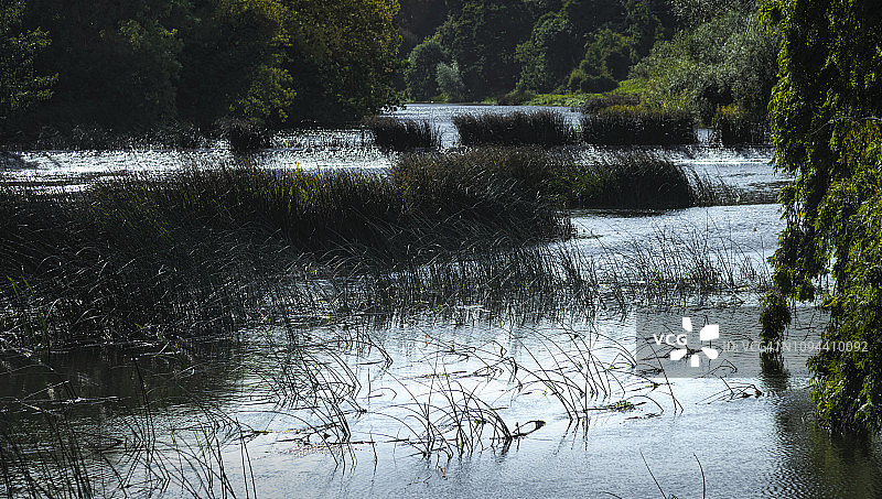 博因河与草地图片素材