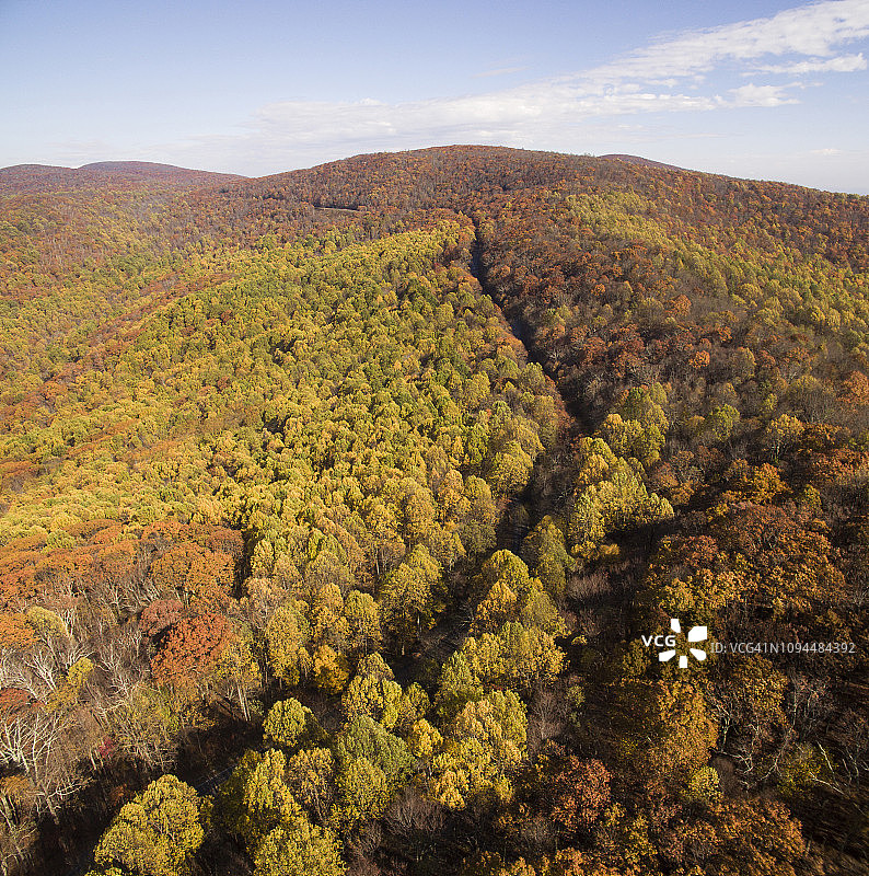 秋季谢南多厄国家公园森林航拍景观图片素材