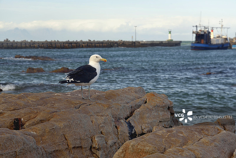 卡尔克湾图片素材
