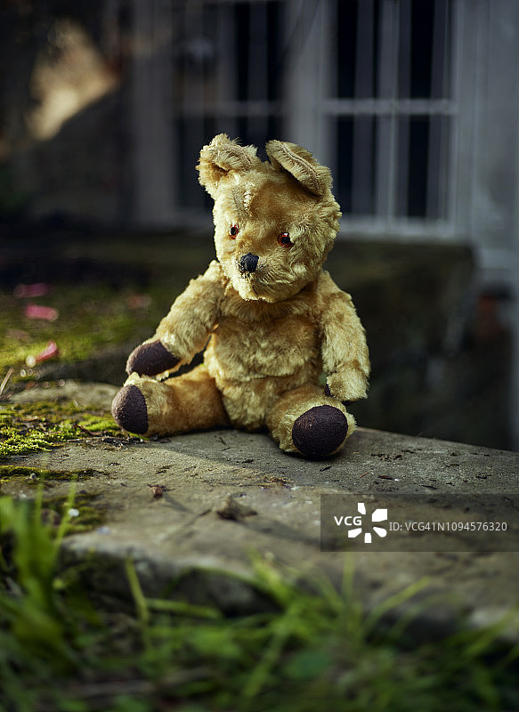 泰迪熊图片素材