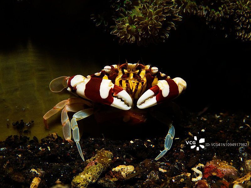 藏在巨人身下图片素材