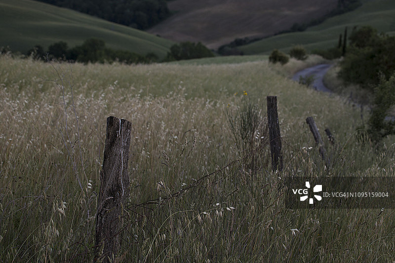 探索：山丘上的野花田与蜿蜒的道路图片素材