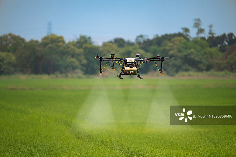 农业无人机向稻田喷洒肥料图片素材