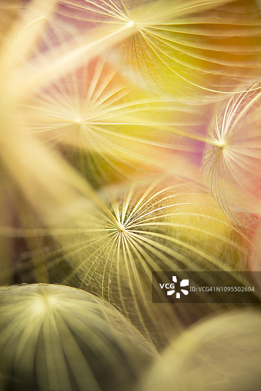 一直在想你图片素材