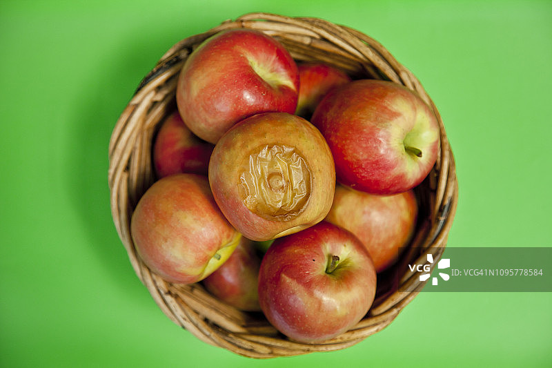 一个坏苹果图片素材