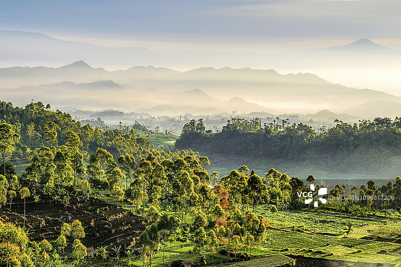 清晨的Ciwidey Pengalengan美丽风景图片素材