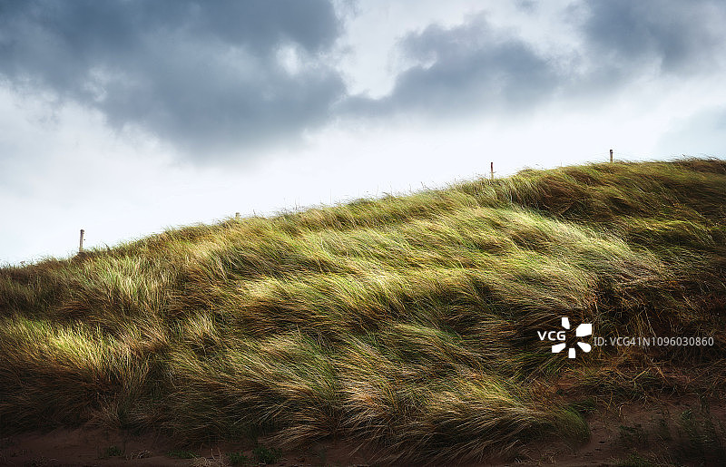 Fermoyle的栅栏和农田#3图片素材