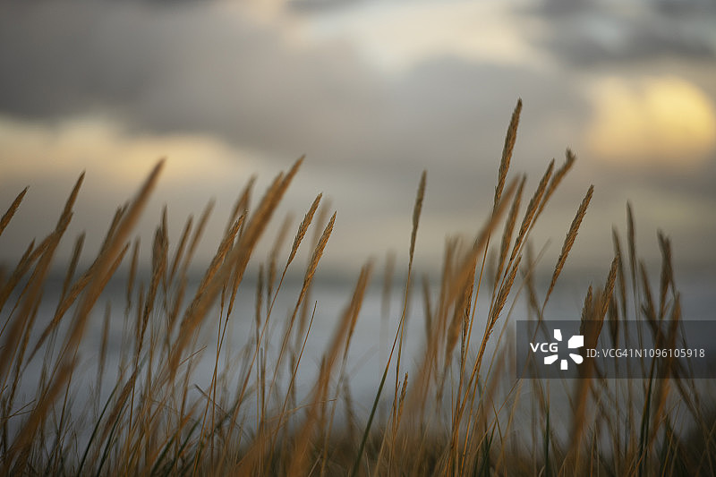 阿伯丁郡斯科茨敦海滩图片素材