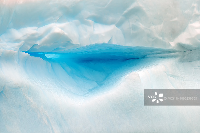 南极洲的企鹅图片素材