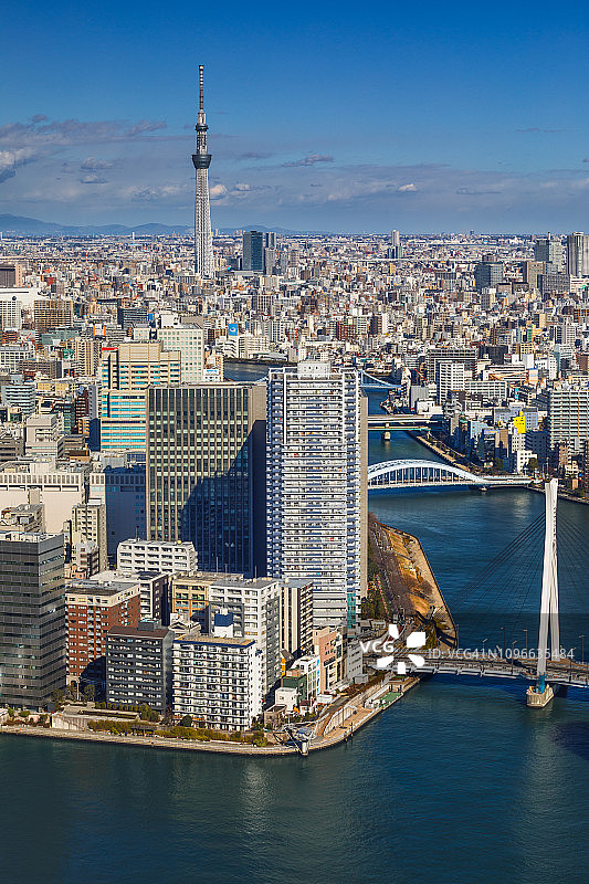 冬季的隅田川图片素材