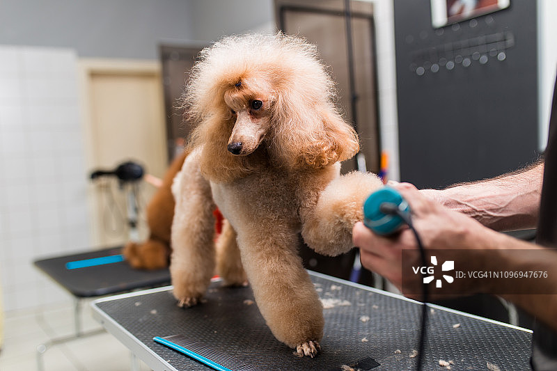 美容沙龙图片素材