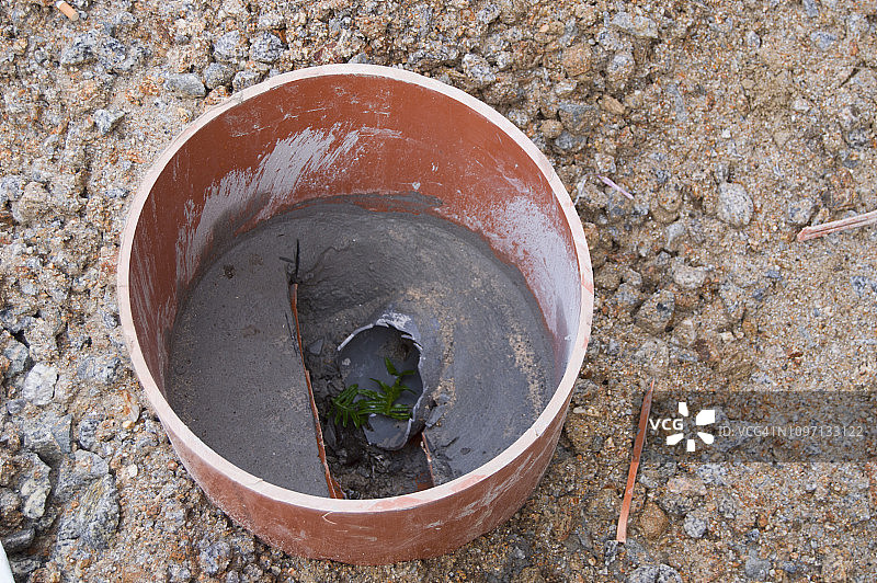 街道人本化，步行化图片素材