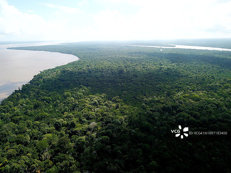 亚马逊雨林航拍图片素材