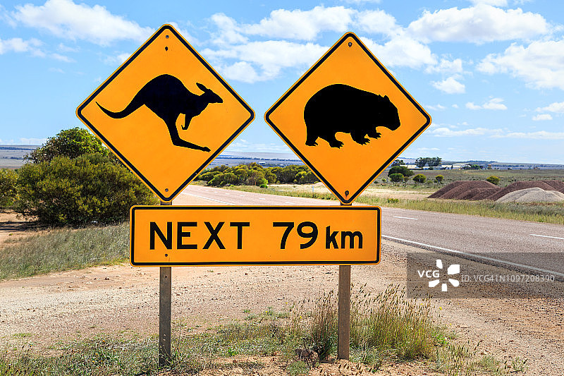 艾尔公路上的袋鼠和袋熊警告标志图片素材