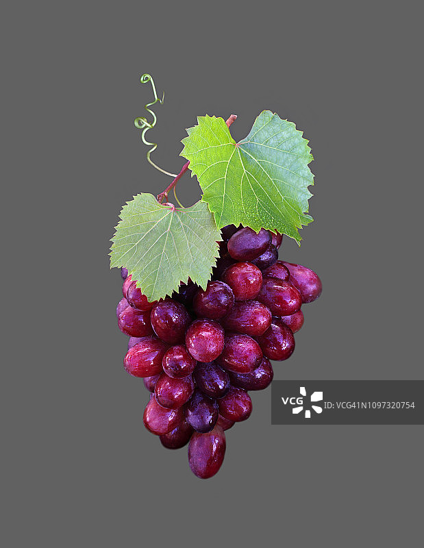 艺术排列的红葡萄与叶子在灰色背景上图片素材