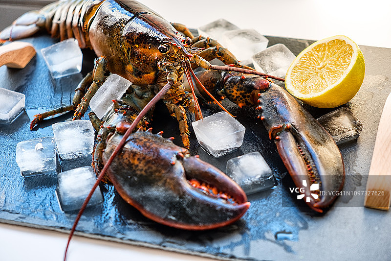 黑色石板托盘上的冰鲜生龙虾图片素材