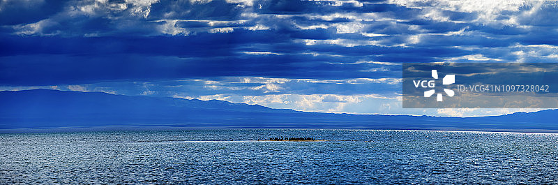 盐湖岛屿上的一群鸬鹚图片素材