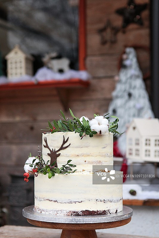 具有乡村圣诞主题的双层蛋糕静物图片素材