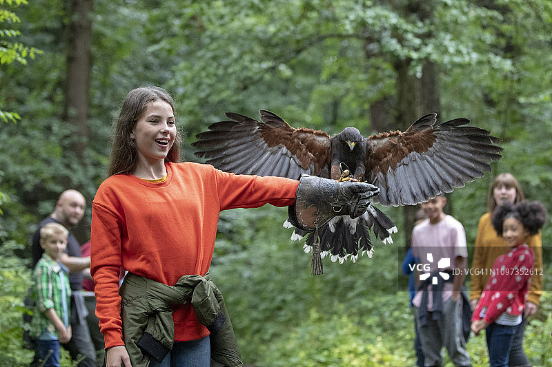 志愿者托举猛禽图片素材