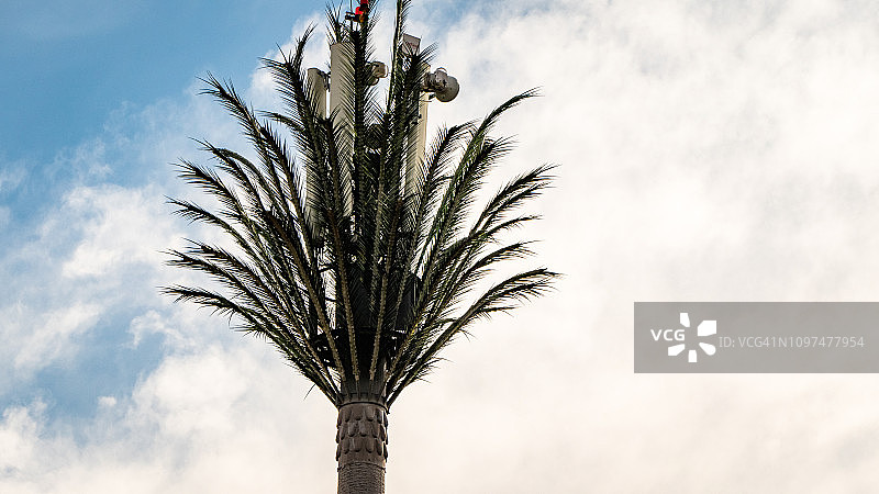 隐藏在摩洛哥马拉喀什棕榈树中的通信电话桅杆图片素材