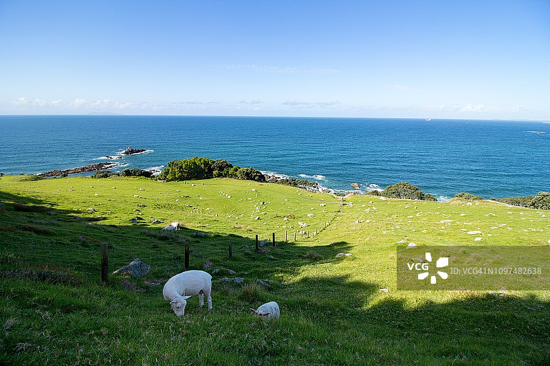 芒格努伊山坡图片素材