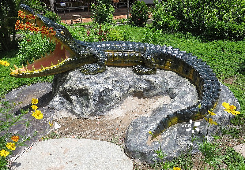 越南槟椥省归仁鳄鱼图片素材