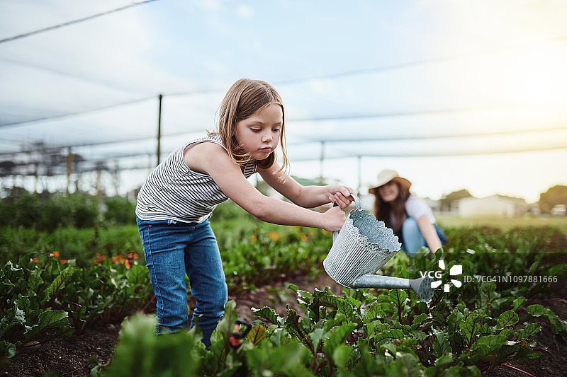 对农民来说，没有休息日图片素材