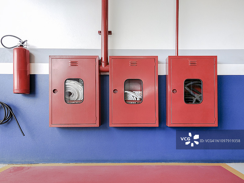 火蜥蜴（Salamandra salamandra） - 黑色，带有不同程度的黄色斑点或条纹。图片素材