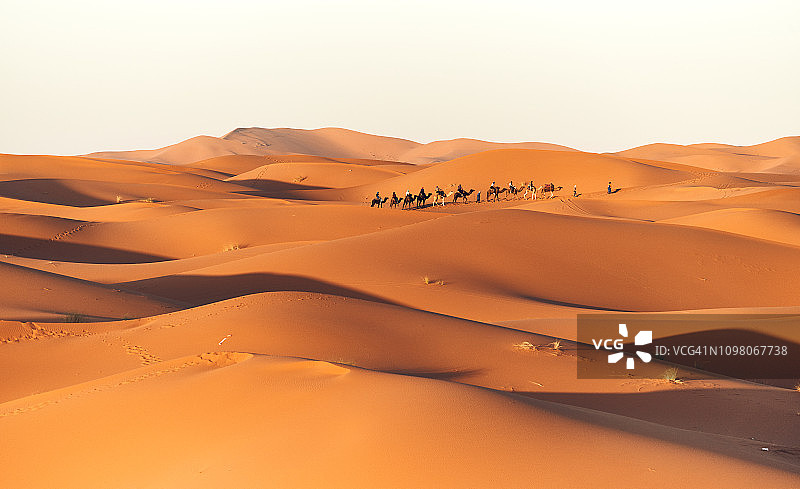 摩洛哥切比沙丘的金色沙丘图片素材