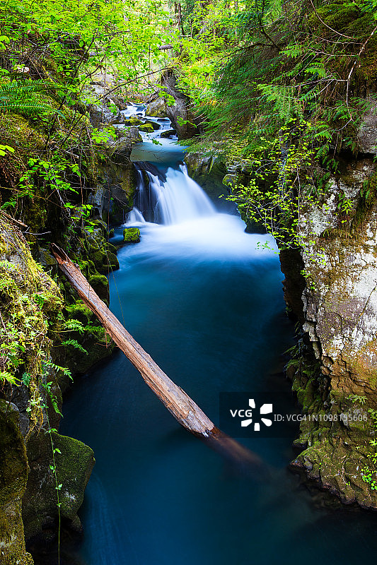 俄勒冈州 008图片素材