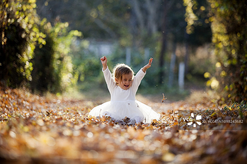 秋季的乐趣图片素材
