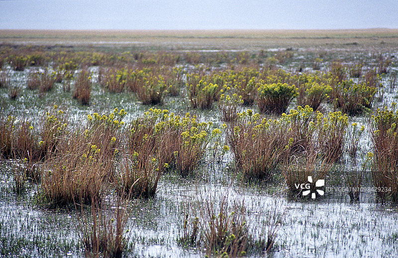 土耳其安纳托利亚中部的沼泽地图片素材